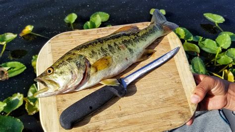 how to cook largemouth bass.